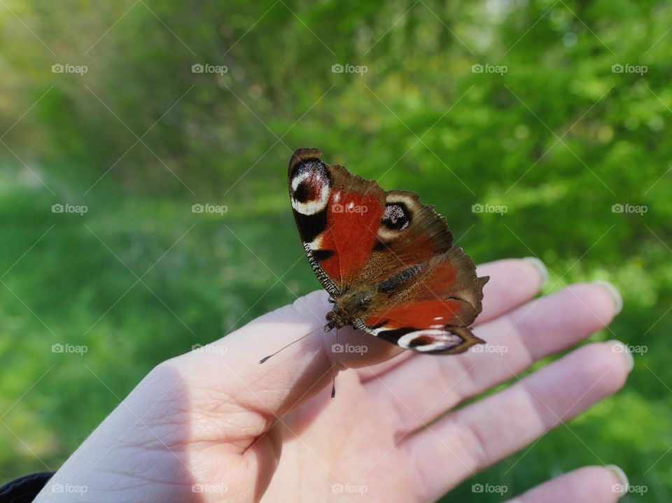 The feeling when a butterfly settles on your skin and rests there