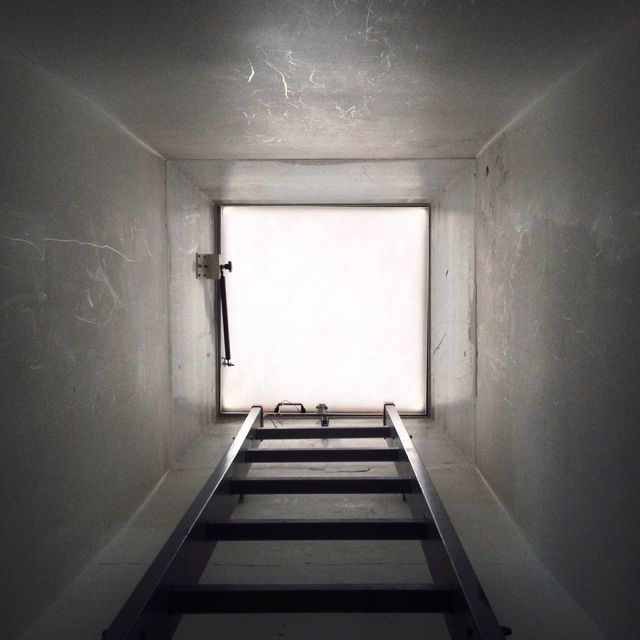 into the light