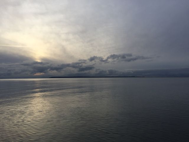 Shoreline -1