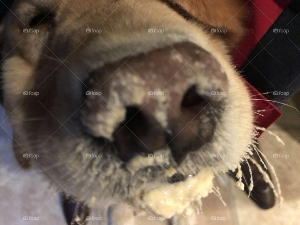 The party was a success