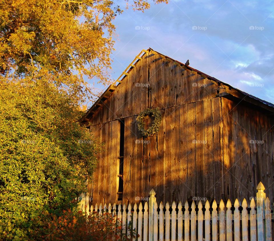 Barn in the evening sun