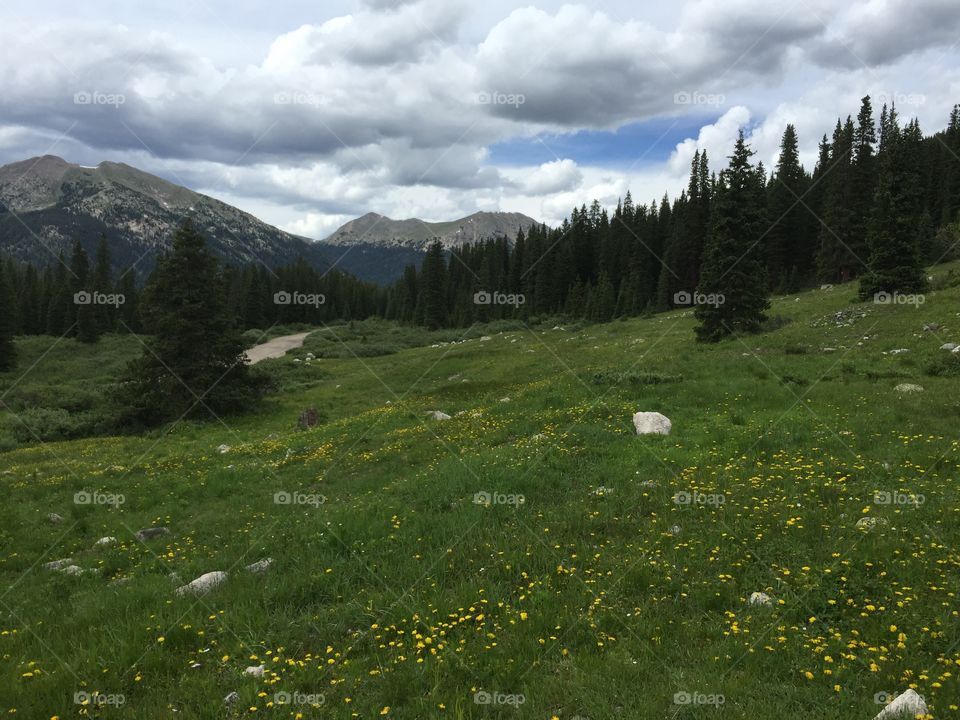 Stacie J. Exploring the Rocky Mountains