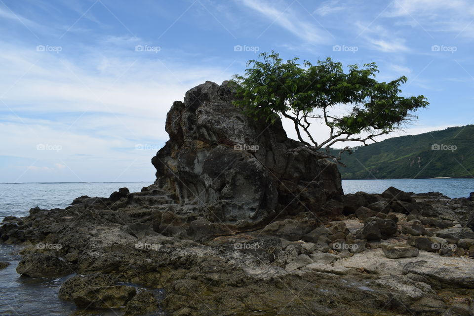 landscape of the beach