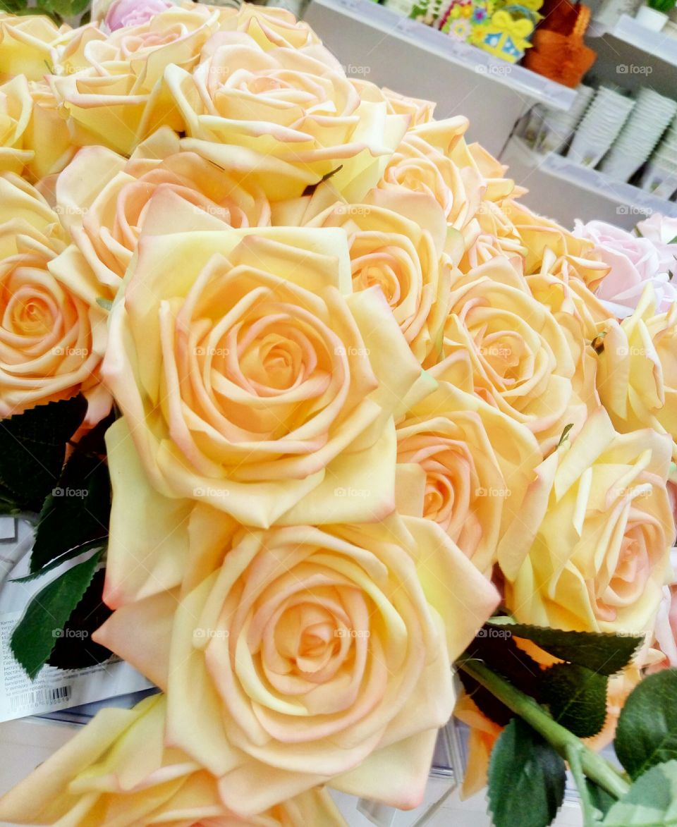 Rose, Love, Romance, Bouquet, Wedding