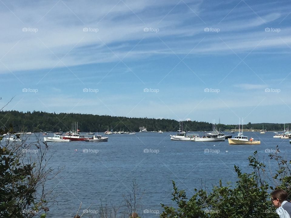 Winter Harbor, Maine lobster boat races 2019