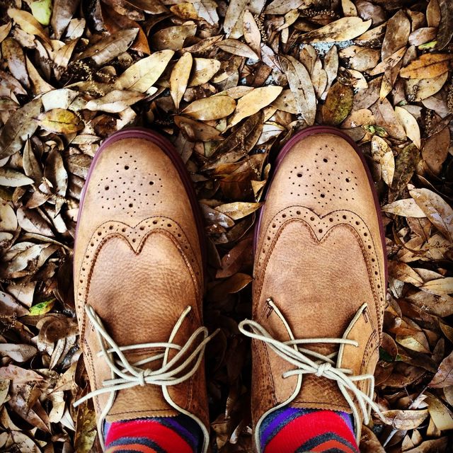 Wingtips