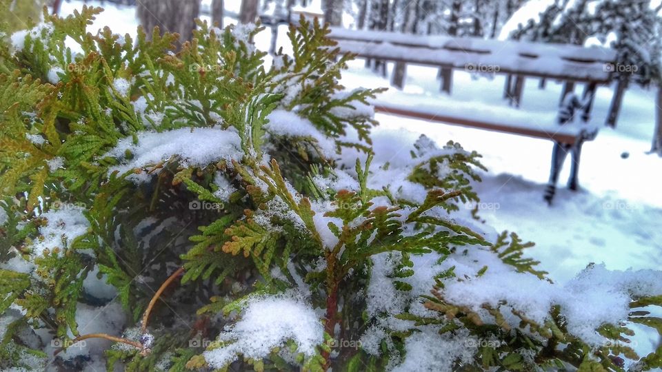 Enyoing the snow