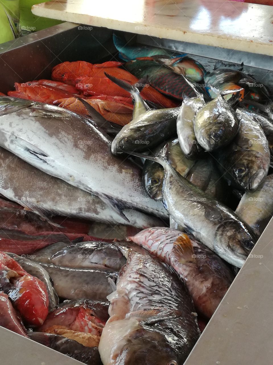 Fresh fish in Cabo Verde
