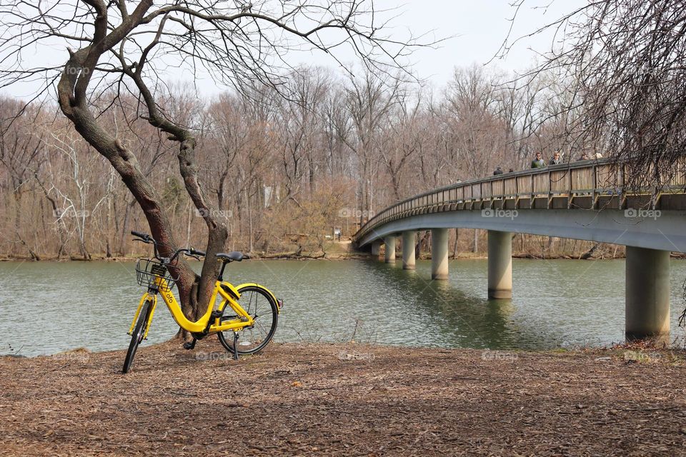 One Lonely Bicycle