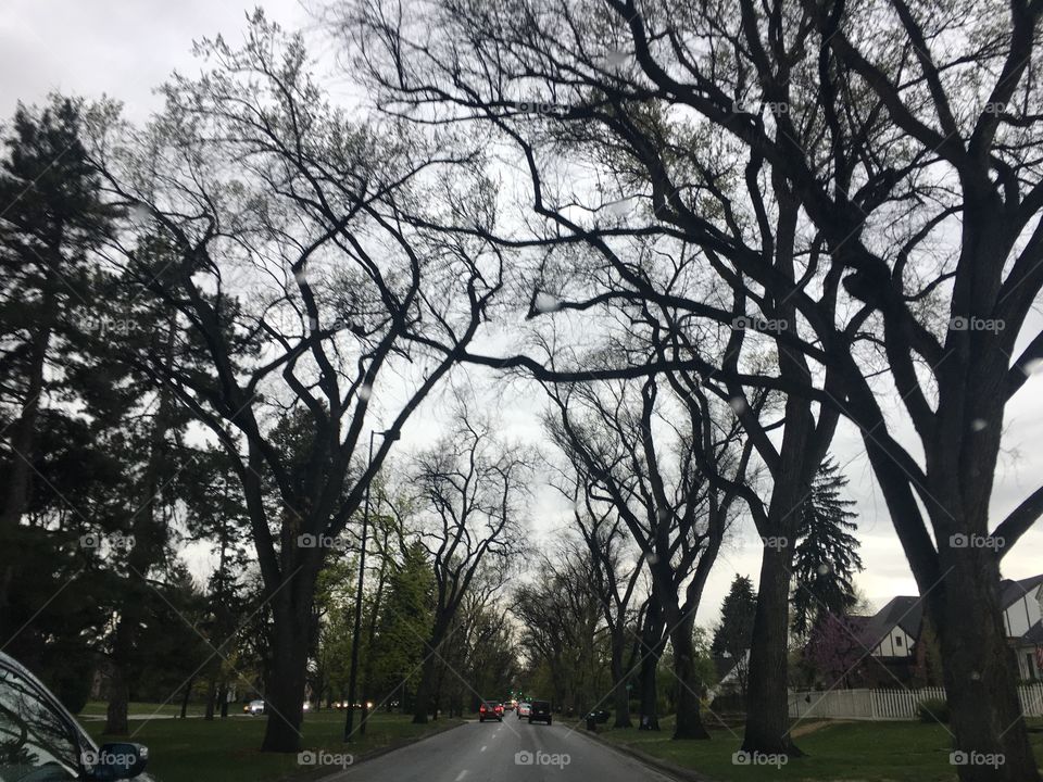 A drive through downtown Denver 