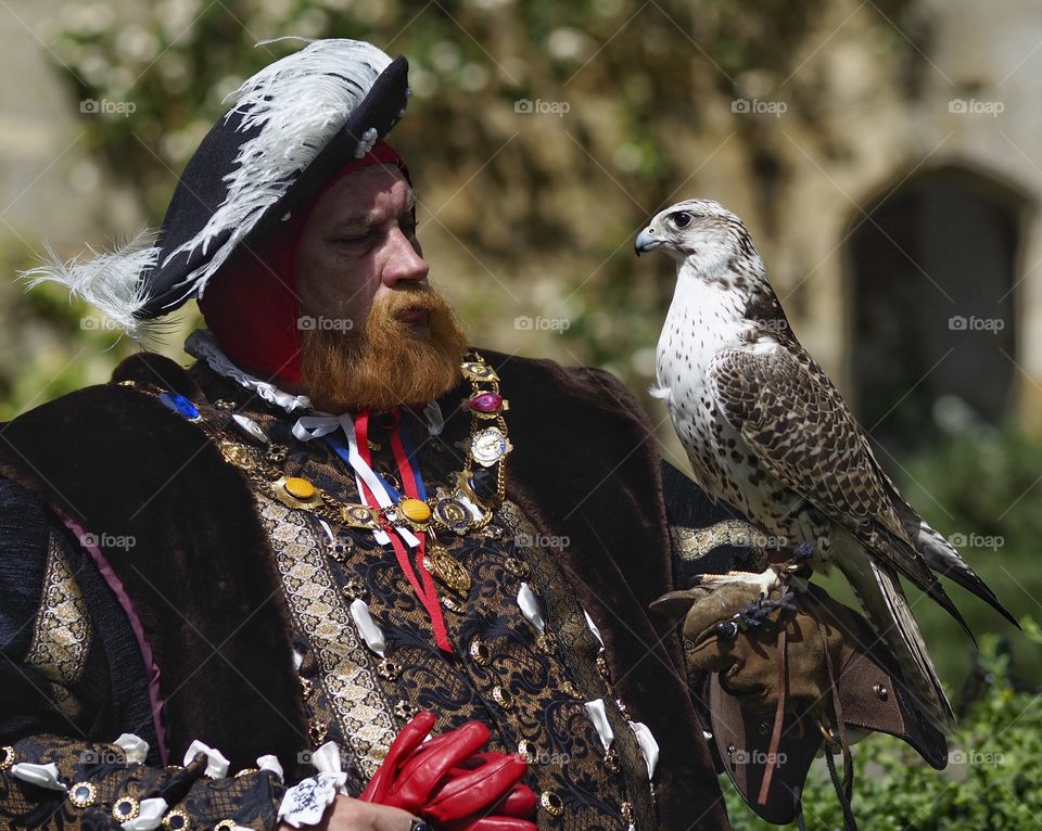 Castle . Medieval festival 