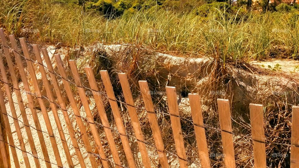 Beach Fence