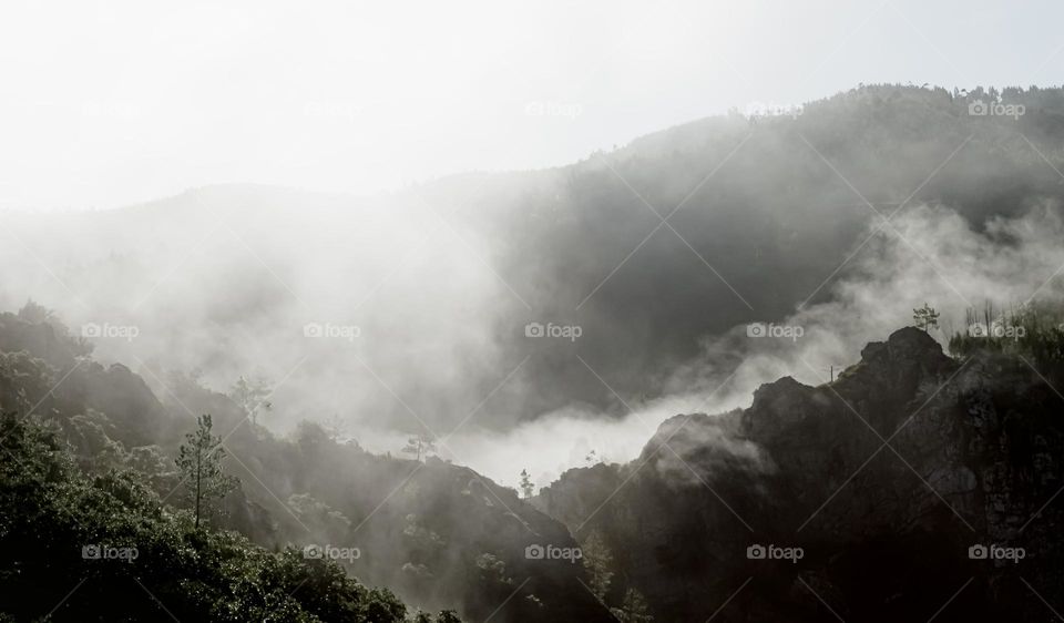 Early morning dew evaporates into mist, in the bright sunlight over mountain ridges