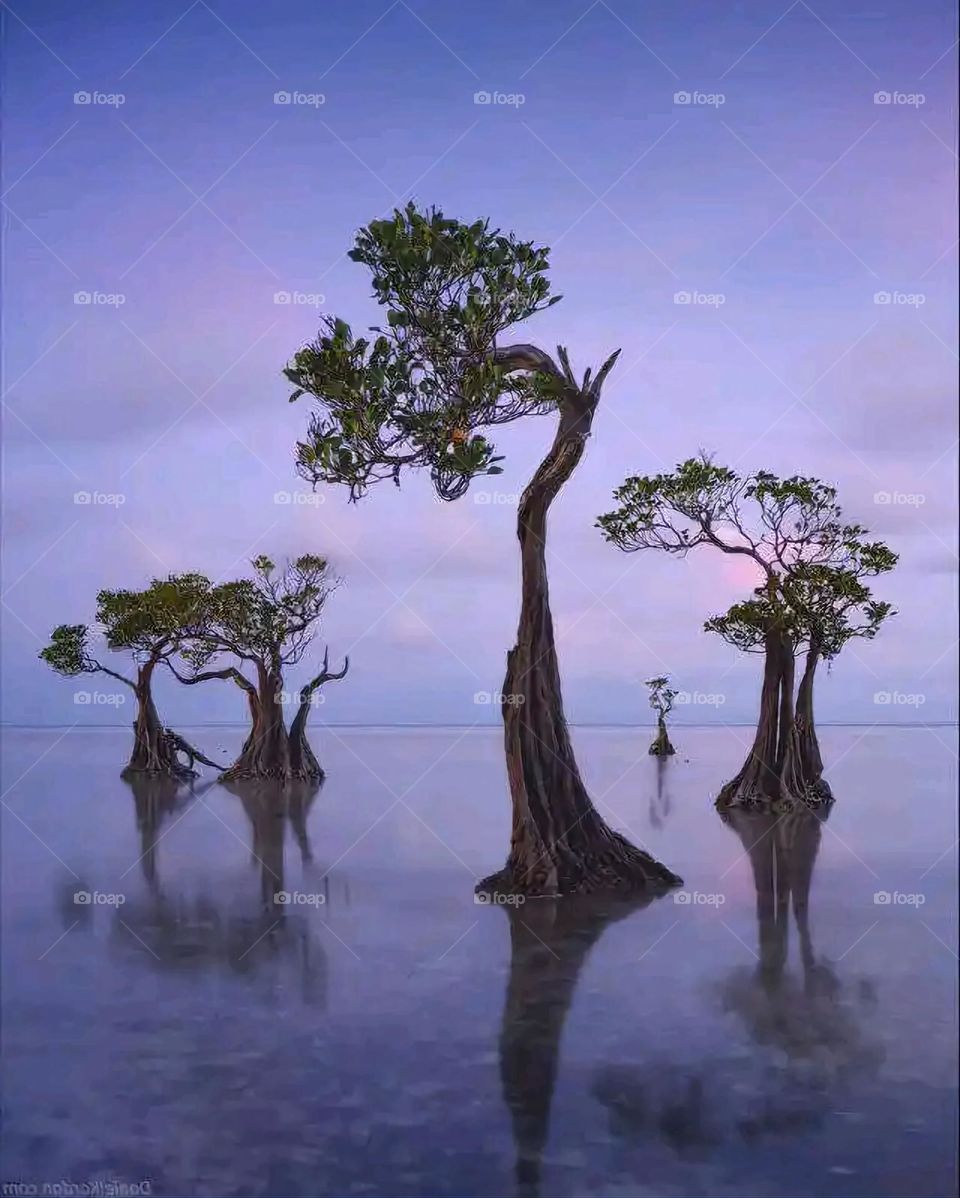 Glory be to God, the magnificent and picturesque view and the natural green trees are a view that is nothing more wonderful than it