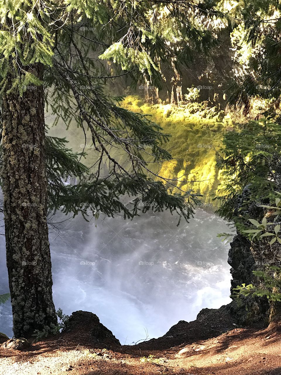 A view of the rushing waters of the McKenzie River in the mountains of Western Oregon close after its drop over Sahalie Falls on a sunny fall day.