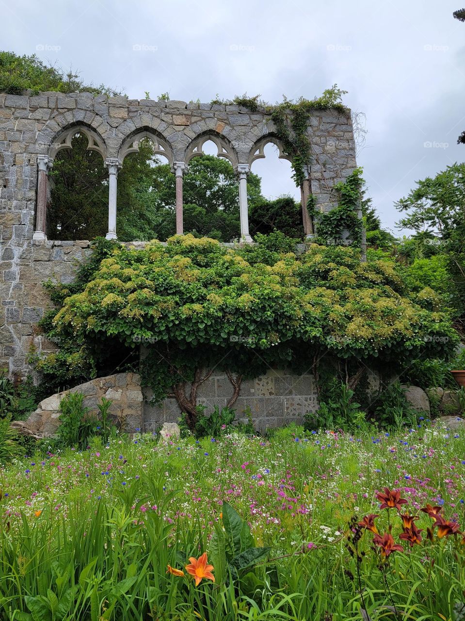 Old Castle Ruins with Wildflowers and Overgrown Grass on a Cloudy Day