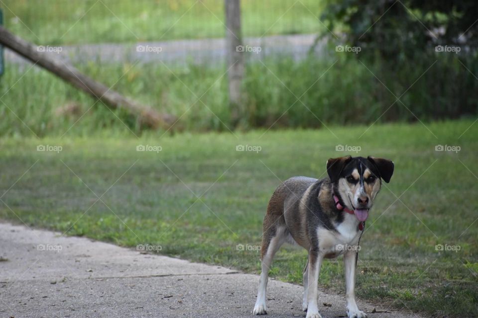 Enjoying the outdoors 