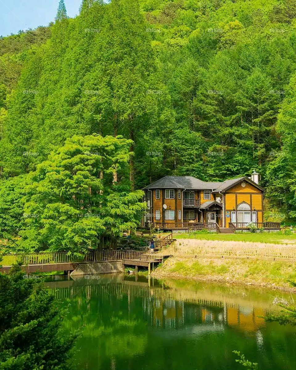 Glory be to God, the magnificent and picturesque view and the natural green trees are a view that is nothing more wonderful than it