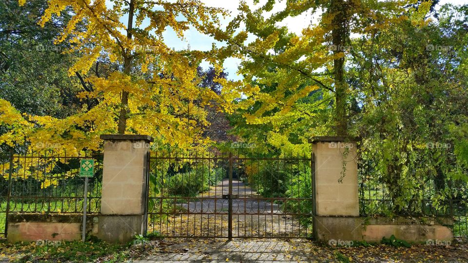 Close-up of metal gate