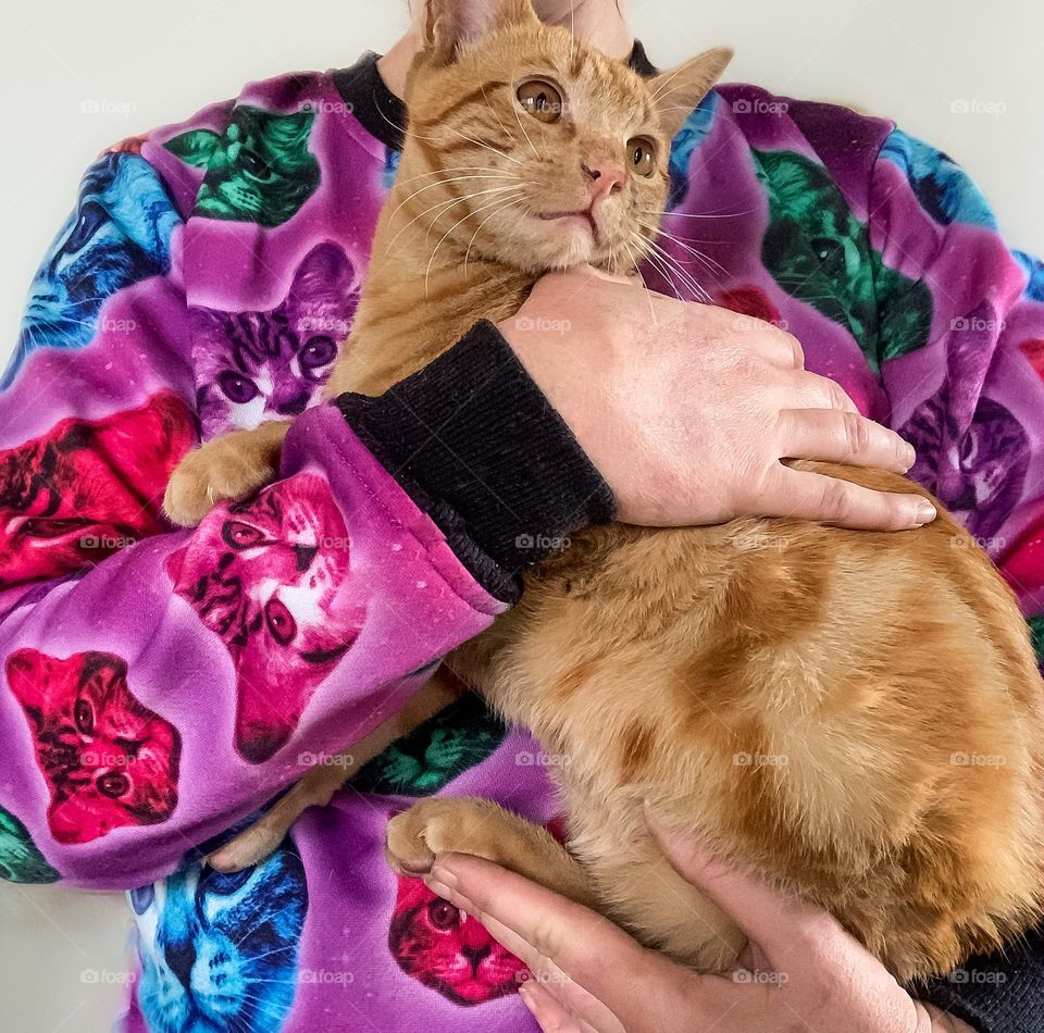 Crazy cat lady holds ginger cat, while wearing a purple funky, purple cat themed jumper 