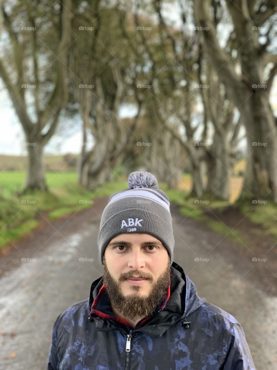 Dark Hedges
