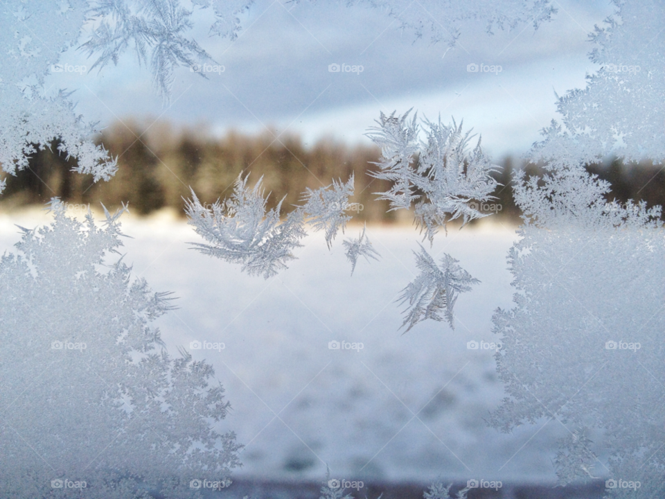 snow sky forest design by vsusov