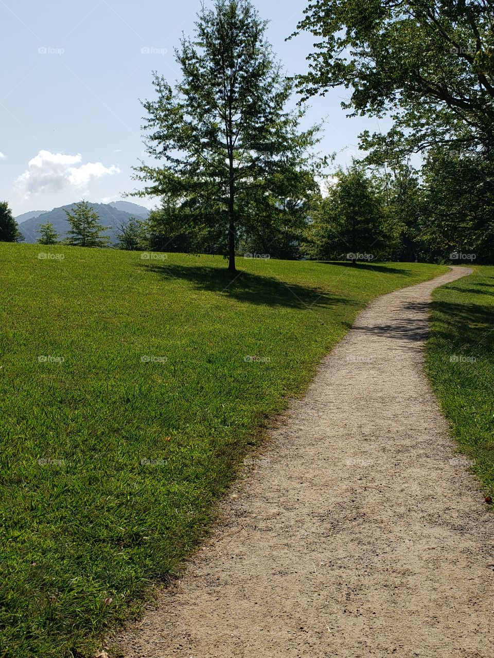 Beautiful morning for a walk