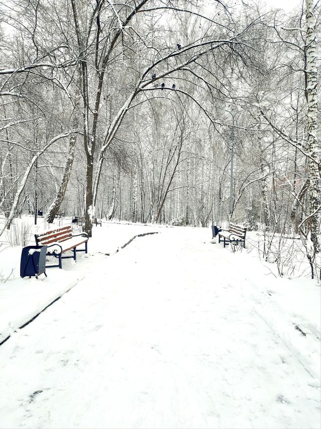 Winter park