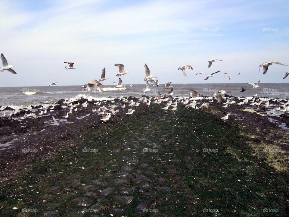 at the sea