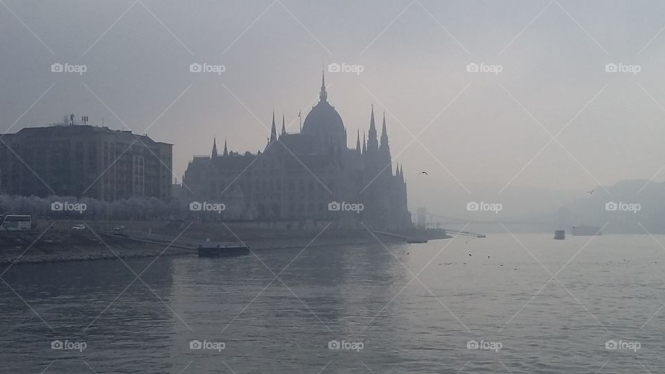 shapes from the water in a foggy Hungarian day