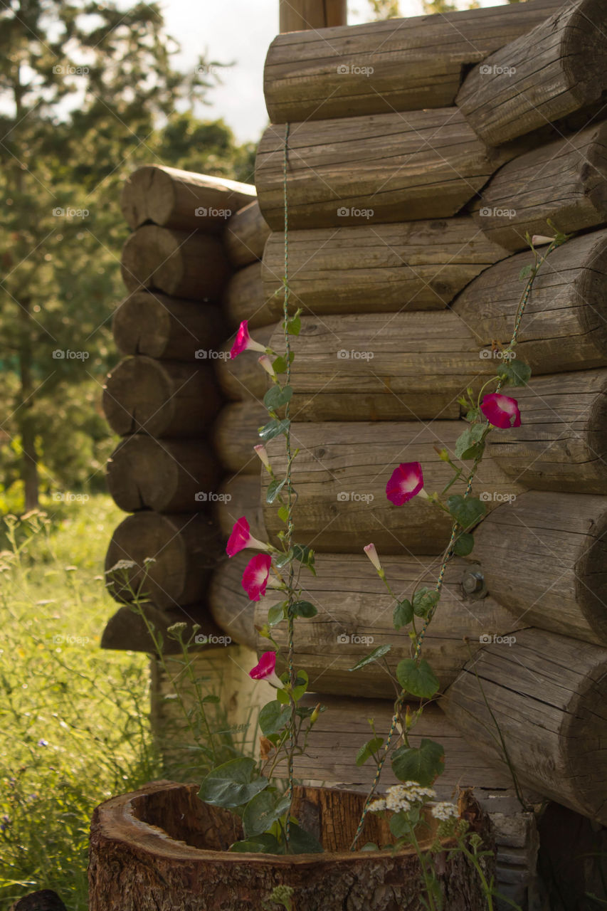 Wooden, Wood, Barrel, Winery, Rustic