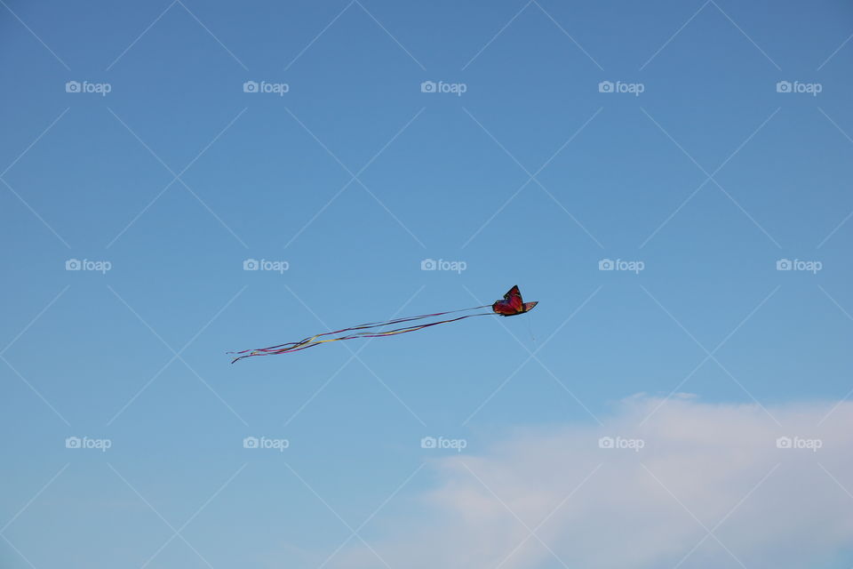 Kite