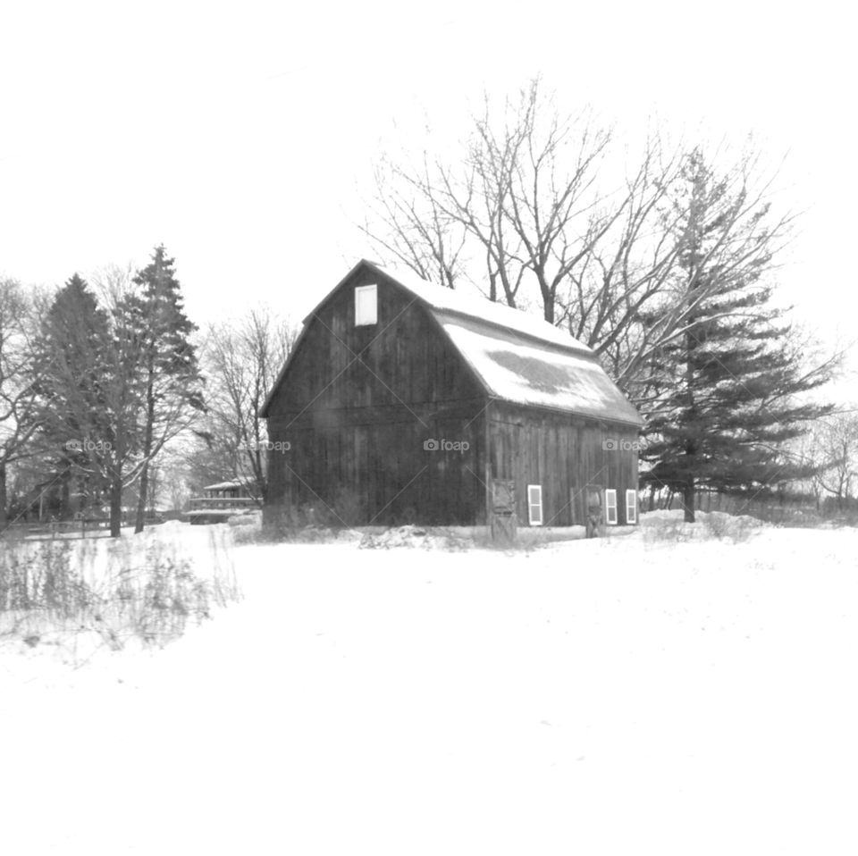 Barn in Winter