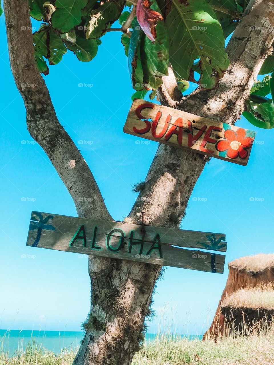 This is the beautiful beaches of cumuruxatiba bahia brasil, a fishing village located in the extreme south of bahia