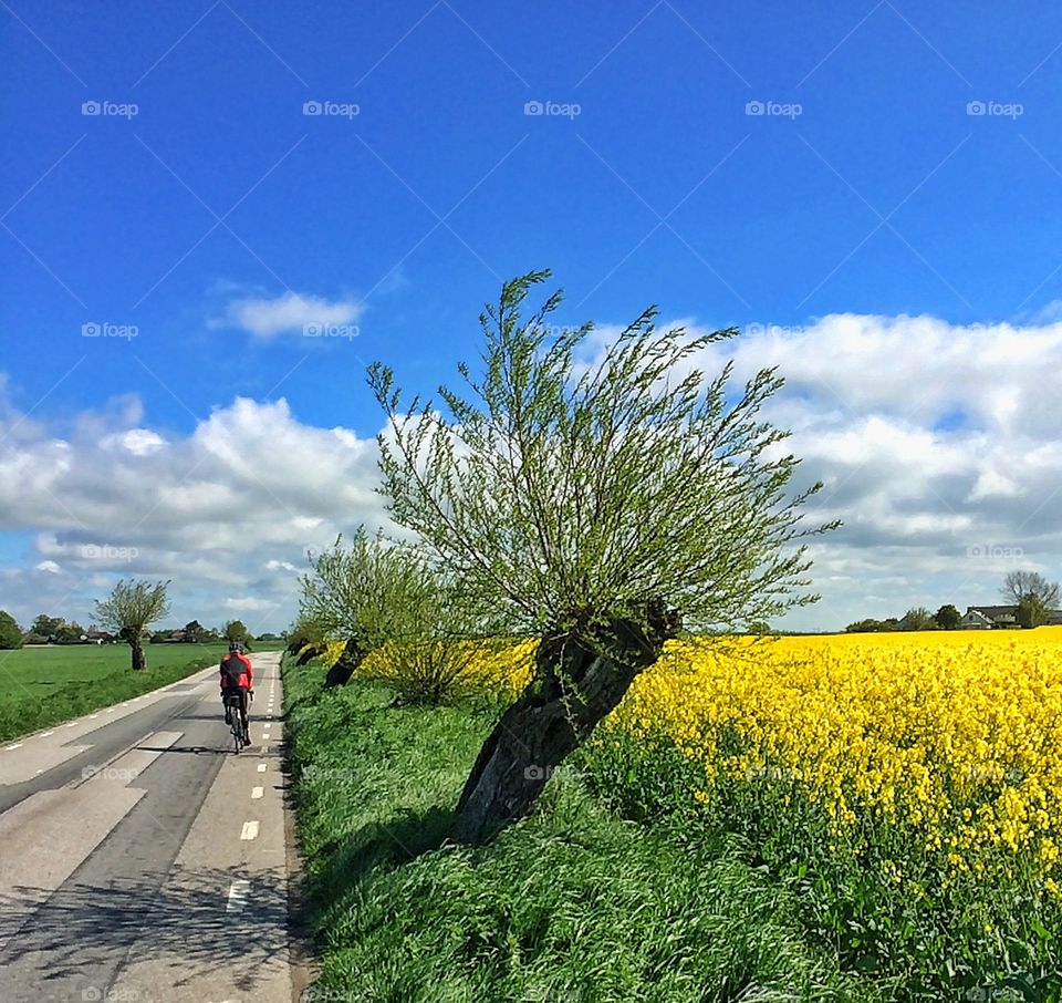 Bike along