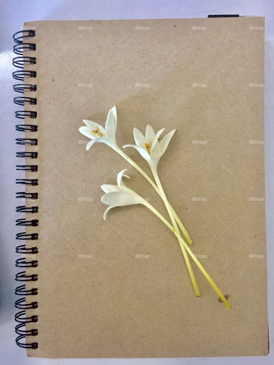 You are allowed to take your time, to grow in your own beautiful way.