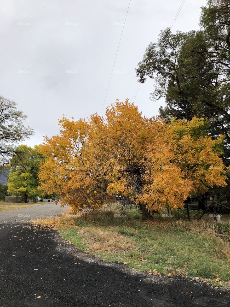 Fall in Utah