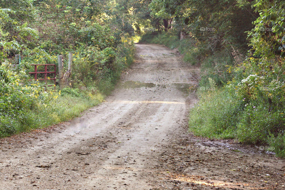 County road