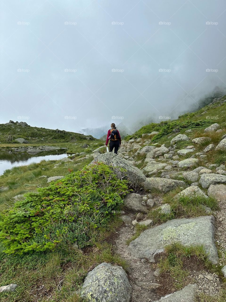 The great wilderness