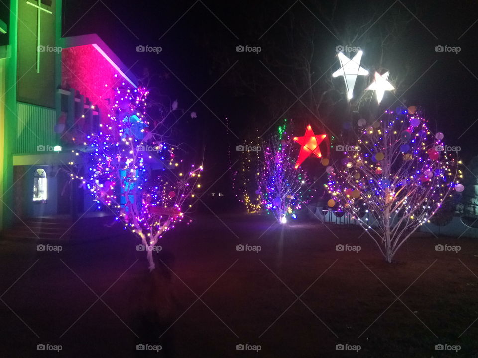 X'mas trees