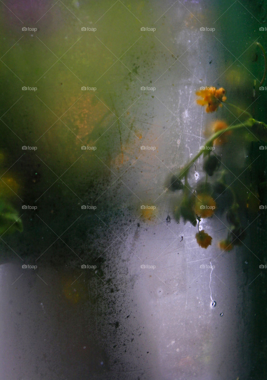 Blurred window after the rain, flowers outside