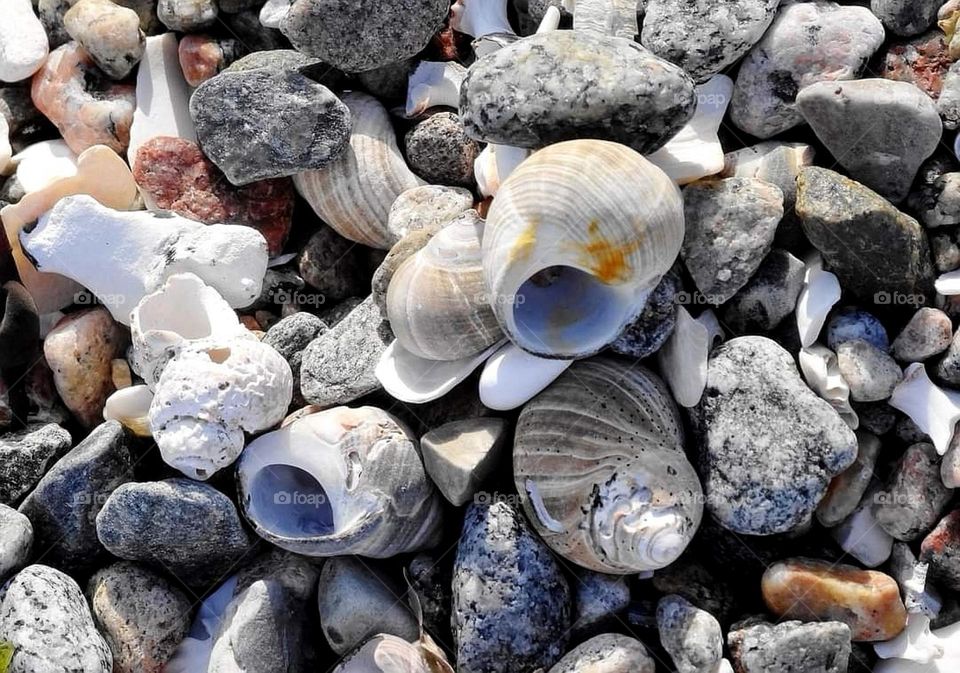 Pile of shells and stone