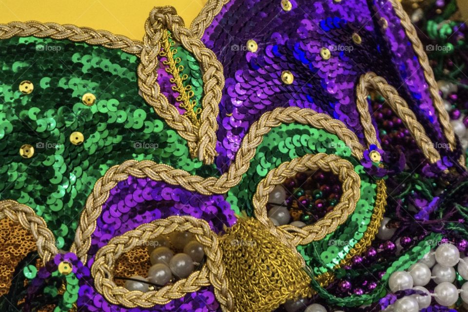 Mardi Gras Mask and Beads