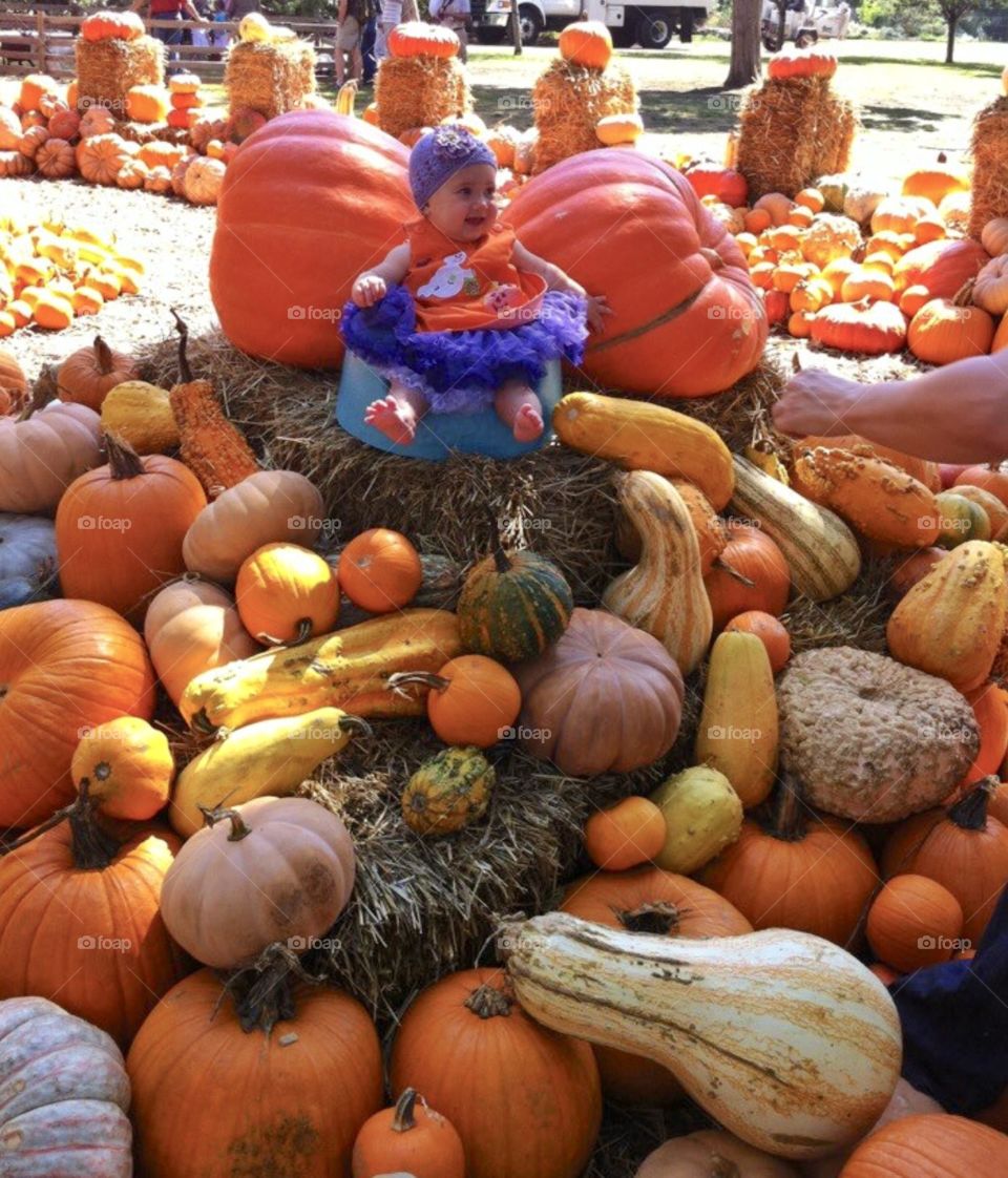 Pumpkin Season 🎃