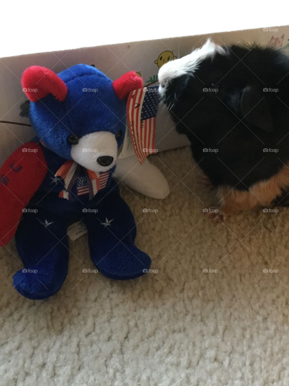 Toy, Winter, Dog, Room, Child