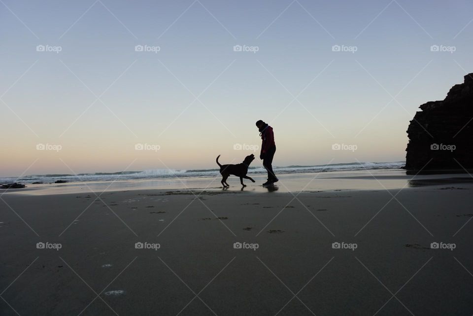 Beach#ocean#human#dog