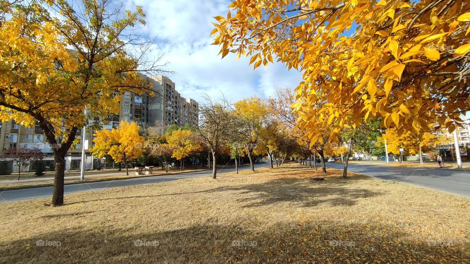 Autumn in Plovdiv, Bulgaria