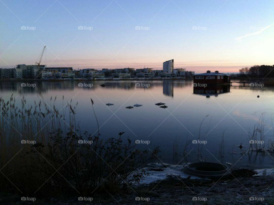 THERE IS SOMETHING IN THE WATER! !