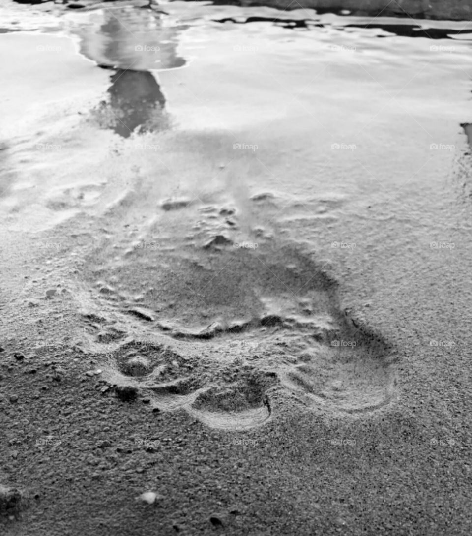 This Lil Piggy went on Vacation