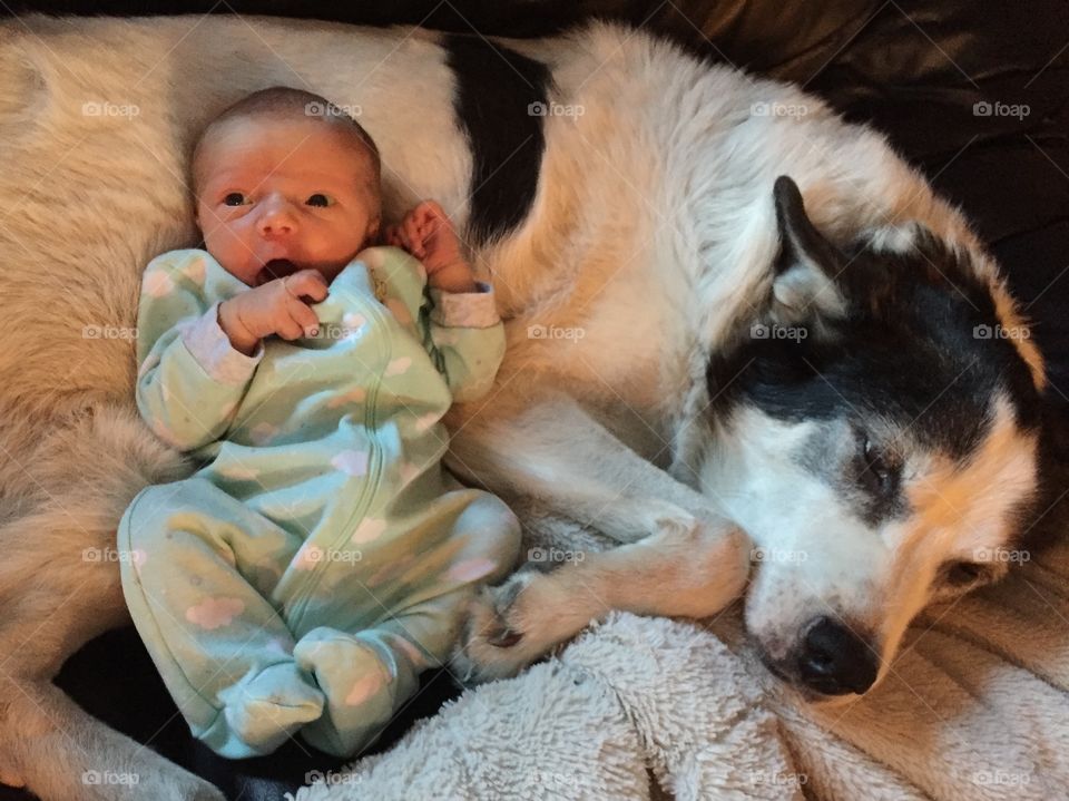 A dog and his little boy